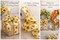 Designer’s Shop Sunflower Wired Ribbon 2.5 Inch x 10 Yards – White Linen Look Ribbon with Yellow Sunflowers and Green Leaves, WR 63-5228